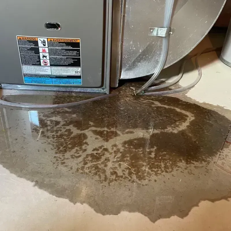 Appliance Leak Cleanup in Meadow Vista, CA